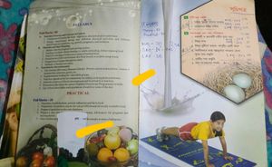 Set Of class 11 &amp; 12 Nutrition, EVS text book in Bengal Version