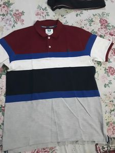 Teamspririt Polo Tee