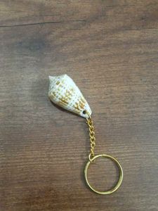 beautiful conch Seashell Keychain