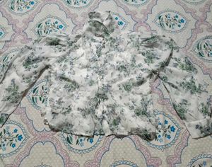 Sheer Floral Puff Sleeve Top