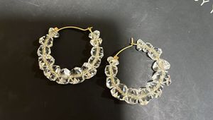 Sparkling Crystal Hoop Earrings