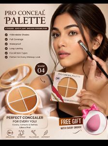 Pro Conceal Palette - 4 Shades