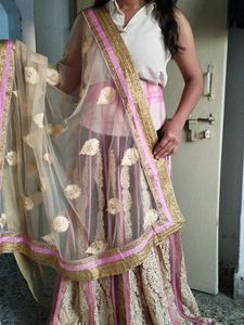 chaniya choli + saree