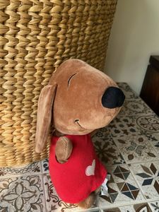 Cute Floppy Brown Dog