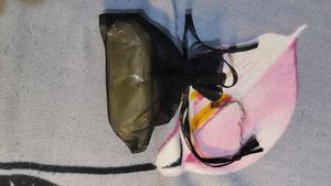 Clear Bra Straps - Invisible Comfort