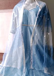 Elegant Blue Ethnic Gown