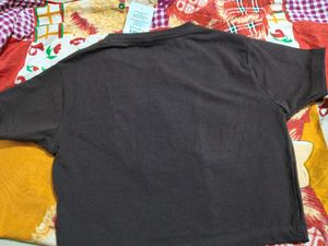 New With Tag Ftted brown basic Tshirt