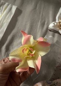 Floral Hair Clips
