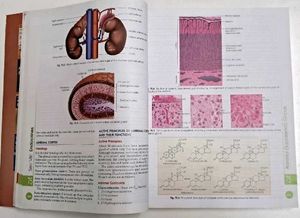 Human Physiology Vol. 2 Textbook