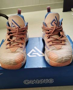 Nike Giannis Basketball Shoes orginal korean japan