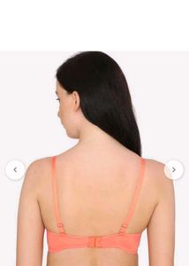 Coral Padded Underwire Bra