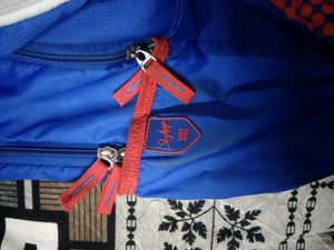 Original Skybags Cricket Themed Blue Backpack