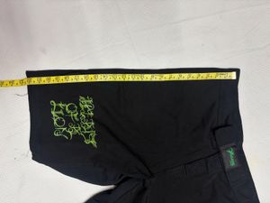 Insane "Beast of the Lion" MMA Shorts