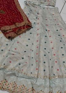 Elegant Lehenga Choli Set