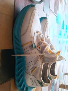 my brother gifted me another shoe
