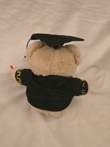 Graduation Teddy Bear Toy