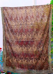 Absolutely new Saree With Blouse