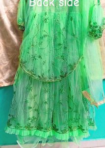 Stunning Green Embroidered Gaon Set