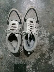 Sport Shoes