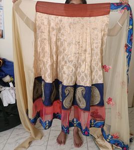 Beautiful Saree/ Ghagara