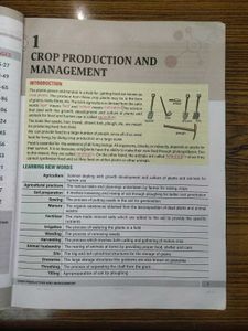 CBSE Class 8th Interactive Science Textbook