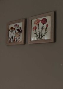 Set of 2 Botanical Framed Prints