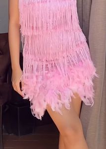 Sparkling Pink Fringe &amp; Feather Dress