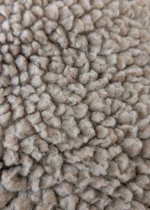 Cozy Beige Hooded Teddy Jacket - Unisex