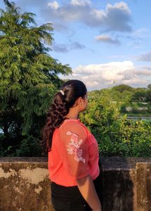 Coral Off-Shoulder Mesh Sleeve Top