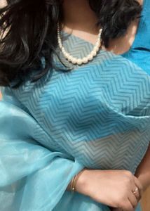 Organza Saree