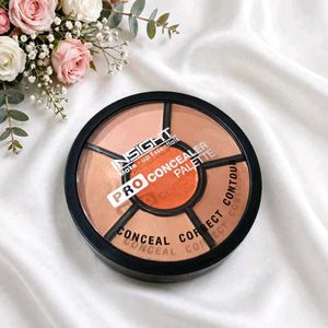 Insight Pro Concealer Palette