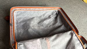 skybag multicolor Trolley Bag - Medium Size