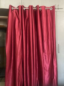 Wine Colour Curtain ( Set Of 2)