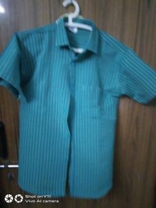 Half Sleeve Shirt