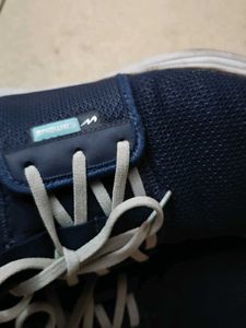 combo campus shoes and flats