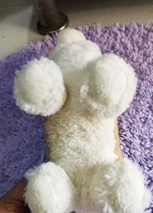 Cute Corgi Plushie
