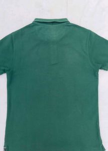 Netplay Olive Green Polo T-Shirt