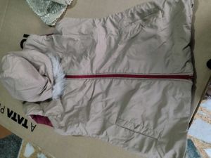 Maroon Hooded Jacket