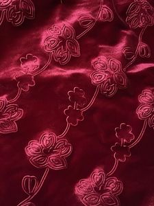 Beautiful Red Velvet Lehenga
