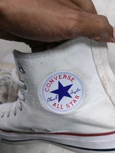 Converse All Star Sneakers