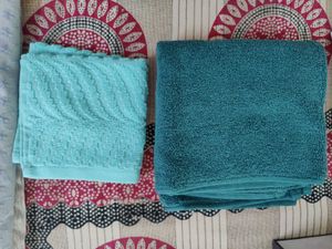 2 brand new Bath Carnival 100% Cotton Towels