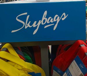 Skybags Backpack