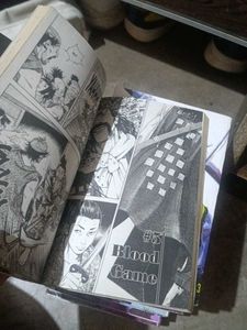 Vagabond Manga Set