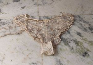 Lace Trimmed Briefs
