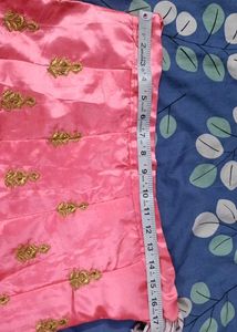 Embroidered Lehenga Skirt and blouse