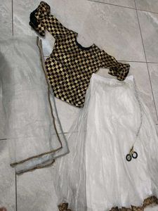 Designer Lehenga Choli Set
