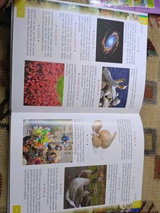 Children's Illustrated Encyclopedia of Alphabets