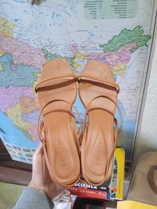Elegant Brown Heeled Sandals