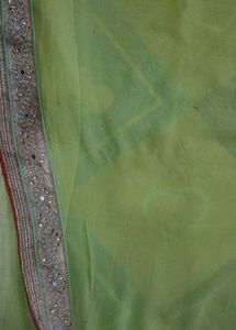 Designer Saree with Embellished Border