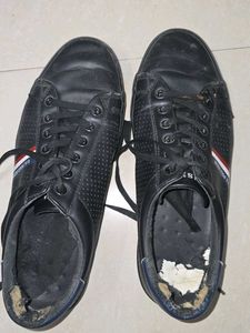 Urgent SELL US POLO Black Casual Sneakers